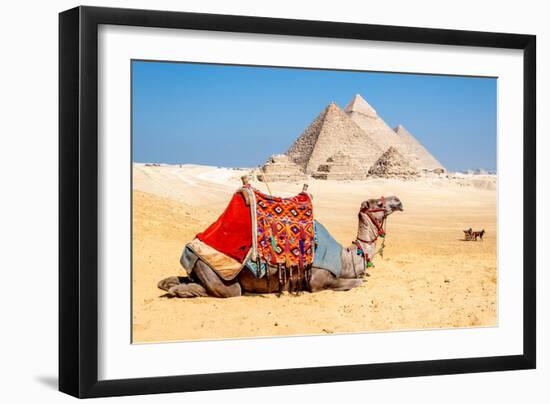 Camel Resting by the Pyramids, Giza, Egypt-Richard Silver-Framed Photographic Print