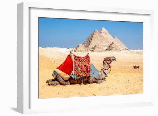 Camel Resting by the Pyramids, Giza, Egypt-Richard Silver-Framed Photographic Print