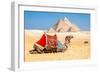 Camel Resting by the Pyramids, Giza, Egypt-Richard Silver-Framed Photographic Print