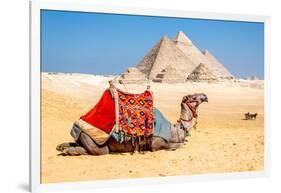 Camel Resting by the Pyramids, Giza, Egypt-Richard Silver-Framed Photographic Print