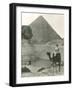 Camel Ride at the Sphinx and Pyramids-null-Framed Photo