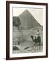 Camel Ride at the Sphinx and Pyramids-null-Framed Photo