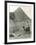 Camel Ride at the Sphinx and Pyramids-null-Framed Photo