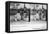Camel Ride, Zoological Gardens, C1900-Julien Damoy-Framed Stretched Canvas