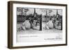 Camel Ride, Zoological Gardens, C1900-Julien Damoy-Framed Giclee Print