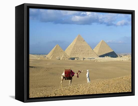 Camel Rider at Giza Pyramids, Giza, Cairo, Egypt, Africa-Nigel Francis-Framed Stretched Canvas