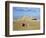 Camel Rider at Giza Pyramids, Giza, Cairo, Egypt, Africa-Nigel Francis-Framed Photographic Print