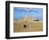 Camel Rider at Giza Pyramids, Giza, Cairo, Egypt, Africa-Nigel Francis-Framed Photographic Print