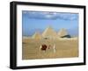 Camel Rider at Giza Pyramids, Giza, Cairo, Egypt, Africa-Nigel Francis-Framed Photographic Print