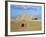 Camel Rider at Giza Pyramids, Giza, Cairo, Egypt, Africa-Nigel Francis-Framed Photographic Print