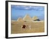 Camel Rider at Giza Pyramids, Giza, Cairo, Egypt, Africa-Nigel Francis-Framed Photographic Print