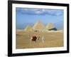 Camel Rider at Giza Pyramids, Giza, Cairo, Egypt, Africa-Nigel Francis-Framed Photographic Print