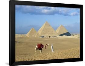 Camel Rider at Giza Pyramids, Giza, Cairo, Egypt, Africa-Nigel Francis-Framed Photographic Print