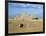 Camel Rider at Giza Pyramids, Giza, Cairo, Egypt, Africa-Nigel Francis-Framed Photographic Print