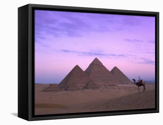 Camel Rider at Giza Pyramids, Giza, UNESCO World Heritage Site, Cairo, Egypt, North Africa, Africa-Nigel Francis-Framed Stretched Canvas