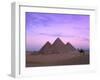 Camel Rider at Giza Pyramids, Giza, UNESCO World Heritage Site, Cairo, Egypt, North Africa, Africa-Nigel Francis-Framed Premium Photographic Print