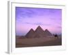 Camel Rider at Giza Pyramids, Giza, UNESCO World Heritage Site, Cairo, Egypt, North Africa, Africa-Nigel Francis-Framed Premium Photographic Print