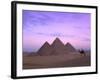 Camel Rider at Giza Pyramids, Giza, UNESCO World Heritage Site, Cairo, Egypt, North Africa, Africa-Nigel Francis-Framed Premium Photographic Print