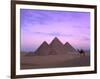 Camel Rider at Giza Pyramids, Giza, UNESCO World Heritage Site, Cairo, Egypt, North Africa, Africa-Nigel Francis-Framed Photographic Print