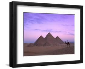 Camel Rider at Giza Pyramids, Giza, UNESCO World Heritage Site, Cairo, Egypt, North Africa, Africa-Nigel Francis-Framed Photographic Print