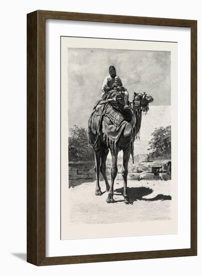 Camel Rider, Egypt, 1879-null-Framed Giclee Print