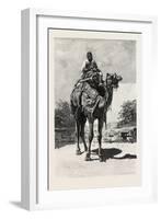 Camel Rider, Egypt, 1879-null-Framed Giclee Print