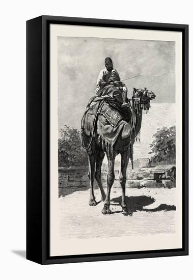 Camel Rider, Egypt, 1879-null-Framed Stretched Canvas