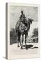 Camel Rider, Egypt, 1879-null-Stretched Canvas