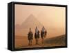 Camel Riders at Giza Pyramids, UNESCO World Heritage Site, Giza, Cairo, Egypt, North Africa, Africa-null-Framed Stretched Canvas