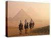 Camel Riders at Giza Pyramids, UNESCO World Heritage Site, Giza, Cairo, Egypt, North Africa, Africa-null-Stretched Canvas