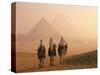Camel Riders at Giza Pyramids, UNESCO World Heritage Site, Giza, Cairo, Egypt, North Africa, Africa-null-Stretched Canvas