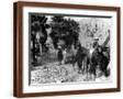 Brown Frame