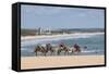 Camel Riding in the Famous Sand Dunes of Natal, Rio Grande Do Norte, Brazil, South America-Michael Runkel-Framed Stretched Canvas