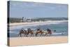 Camel Riding in the Famous Sand Dunes of Natal, Rio Grande Do Norte, Brazil, South America-Michael Runkel-Stretched Canvas