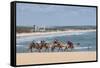 Camel Riding in the Famous Sand Dunes of Natal, Rio Grande Do Norte, Brazil, South America-Michael Runkel-Framed Stretched Canvas