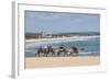 Camel Riding in the Famous Sand Dunes of Natal, Rio Grande Do Norte, Brazil, South America-Michael Runkel-Framed Photographic Print