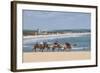 Camel Riding in the Famous Sand Dunes of Natal, Rio Grande Do Norte, Brazil, South America-Michael Runkel-Framed Photographic Print