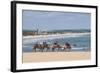 Camel Riding in the Famous Sand Dunes of Natal, Rio Grande Do Norte, Brazil, South America-Michael Runkel-Framed Photographic Print