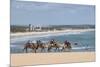Camel Riding in the Famous Sand Dunes of Natal, Rio Grande Do Norte, Brazil, South America-Michael Runkel-Mounted Photographic Print