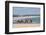 Camel Riding in the Famous Sand Dunes of Natal, Rio Grande Do Norte, Brazil, South America-Michael Runkel-Framed Photographic Print