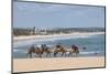 Camel Riding in the Famous Sand Dunes of Natal, Rio Grande Do Norte, Brazil, South America-Michael Runkel-Mounted Photographic Print