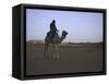 Camel Riding, Morocco-Michael Brown-Framed Stretched Canvas