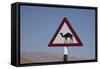Camel Road Sign, Wahiba, Oman, Middle East-Angelo Cavalli-Framed Stretched Canvas