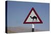 Camel Road Sign, Wahiba, Oman, Middle East-Angelo Cavalli-Stretched Canvas