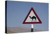 Camel Road Sign, Wahiba, Oman, Middle East-Angelo Cavalli-Stretched Canvas