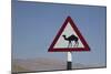 Camel Road Sign, Wahiba, Oman, Middle East-Angelo Cavalli-Mounted Photographic Print