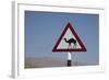 Camel Road Sign, Wahiba, Oman, Middle East-Angelo Cavalli-Framed Photographic Print