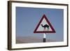 Camel Road Sign, Wahiba, Oman, Middle East-Angelo Cavalli-Framed Photographic Print