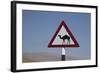 Camel Road Sign, Wahiba, Oman, Middle East-Angelo Cavalli-Framed Photographic Print