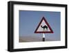 Camel Road Sign, Wahiba, Oman, Middle East-Angelo Cavalli-Framed Photographic Print